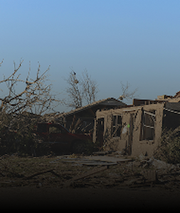 Damaged Homes